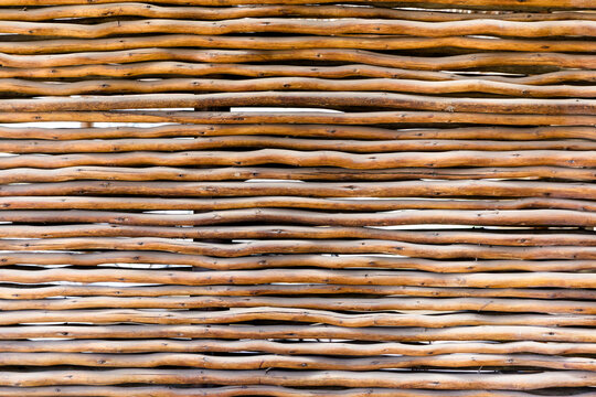 Reed Ceiling