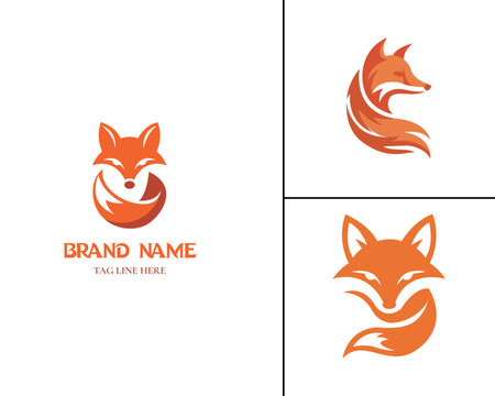 Set of Fox Head Logo Design