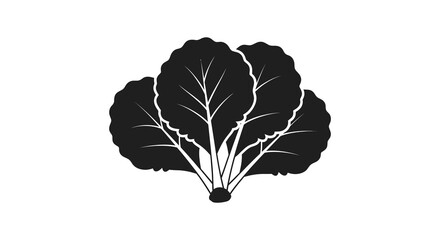 A striking black and white illustration depicts a head of leafy greens likely kale or collard greens with detailed veining © njhasan