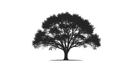 A striking silhouette of a large mature tree with dense foliage stands against a plain white background © njhasan