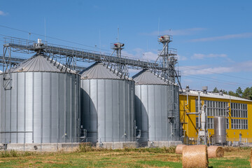 Fototapeta premium Modern agro-processing plant with silver metal silos for grain storage. Industrial granary elevator complex for drying and cleaning agricultural products against a blue cloudy sky