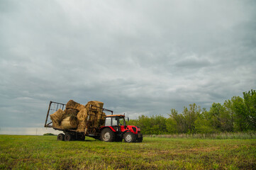 Obraz premium A red tractor in a field in summer with a trailer of hay