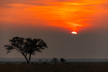 Sunset in Africa