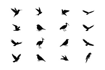 set of birds