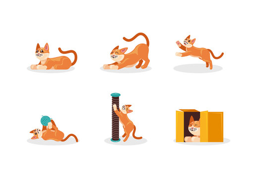 Cute Cartoon Cat Illustration Design Set