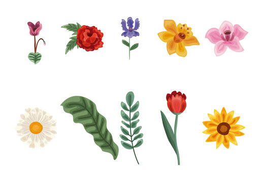 Flowers Design Set