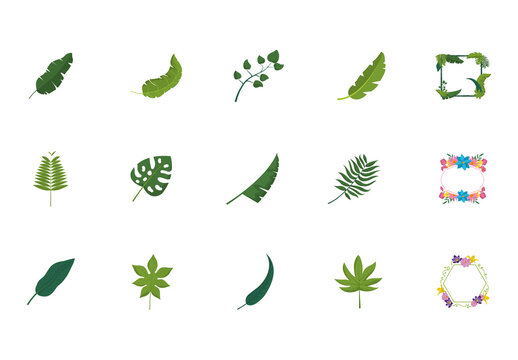Tropical Foliage Vector Set