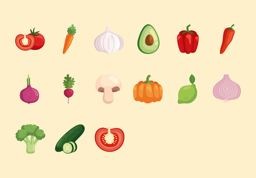 Vegetables Illustration Set