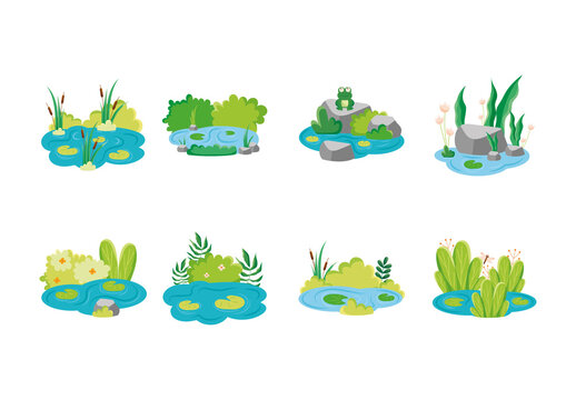 Water Pond Illustration Set
