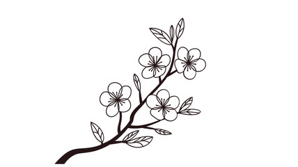 Fototapeta premium Delicate black and white illustration of a blossoming cherry branch
