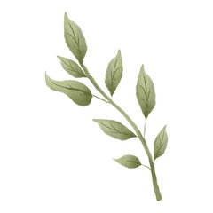 Fototapeta premium A green branch with leaves in a soft watercolor style. A minimalist botanical element, ideal for invitations, logos, prints, and elegant decor.
