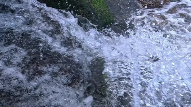  Freshwater inflow entering the Black Sea over coastal rocks overgrown with green algae.