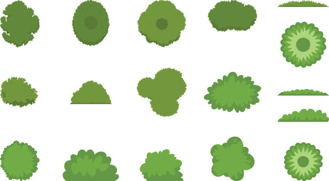 Green bush and shrub collection set, flat vector garden plants, top view landscape greenery, isolated nature elements for outdoor architectural mapping