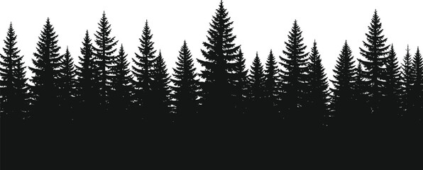 Black pine forest silhouette, coniferous woodland tree line, isolated nature landscape background, evergreen spruce fir timberland panorama for outdoor graphic design. © Monjila