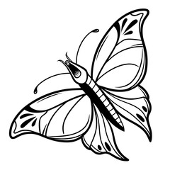 A black and white drawing of a butterfly with detailed wings Vector © ak