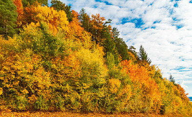 Autumn or indian summer view at Vilshofen an der Donau, Danube, Passau, Bavaria, Germany