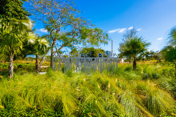 Obraz premium Bayshore Park in Miami Beach. Long exposure photo to blur trees and clouds