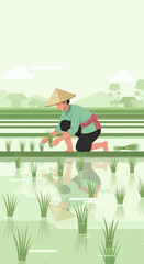 Farmer Cultivating Rice In Lush Green Paddy Fields