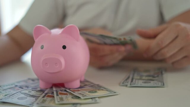 Child counting money next to piggybank on table. Girl holds dollars in hands while learning basic saving and finance. Piggybank stands for economy education. Saving and finance develop girl awareness.