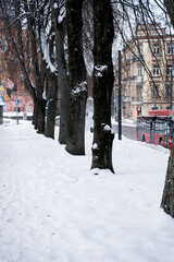 snow-covered row of dark tree trunks lining an urban boulevard beside a quiet city street with muted buildings and a red bus, under overcast winter light and textured white snow, focus
