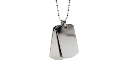 Fototapeta premium Close-up of a pair of blank metal dog tags hanging on a ball chain necklace