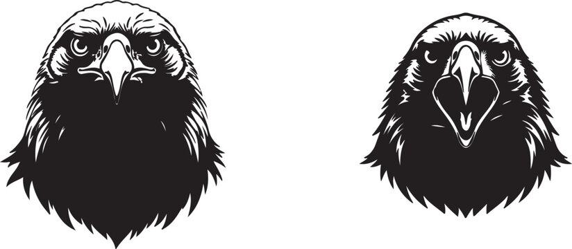 Black and white illustration of two ravens or crows facing forward with detailed feathers and beaks on a white background