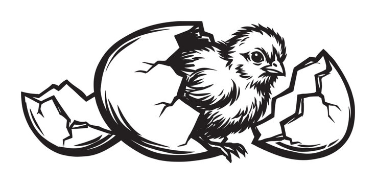 Newborn baby chick illustrated in black and white is breaking free from its cracked eggshell, symbolizing new life and beginnings in a bold graphic linocut style