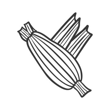 A black and white image of a zucchini squash plant