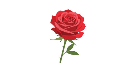Obraz premium Single vibrant red rose in full bloom with green stem, leaves, and thorns on a simple white background.