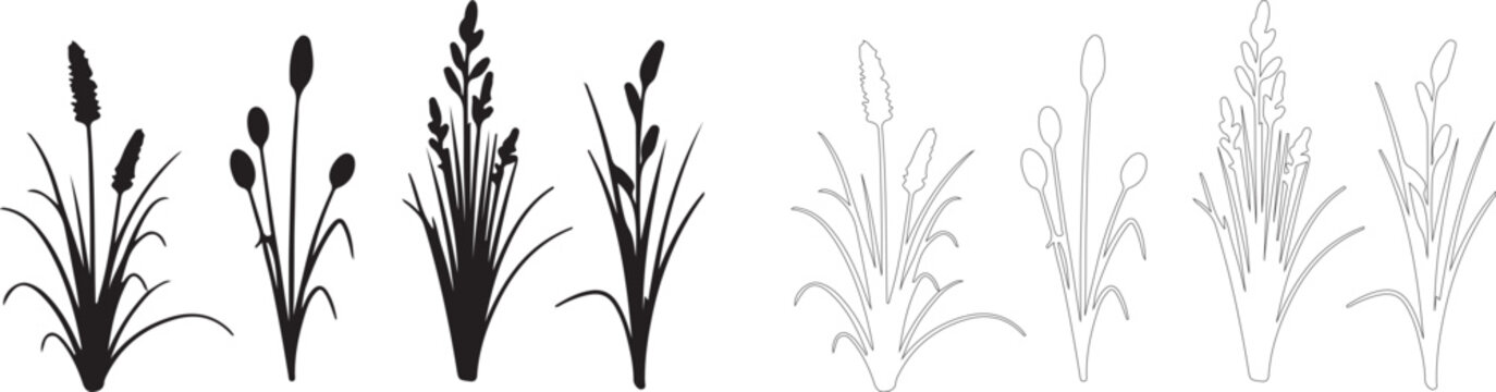 Collection of cattail and grass silhouettes and outlines, vector plants