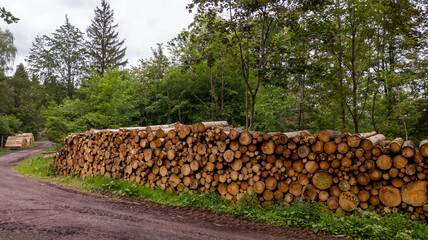 Holzstapel am Waldweg © rob_st