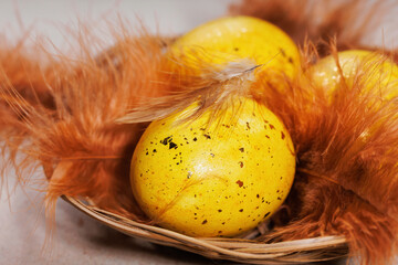 Macro view of yellow speckled Easter egg with a soft brown feather resting on top in a nest © svittlana