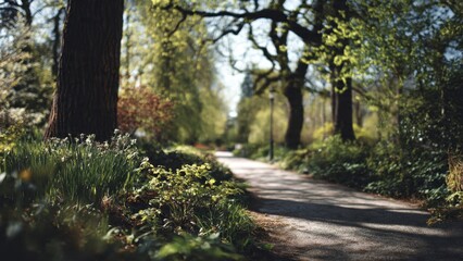 Fototapeta premium Peaceful path through a lush park