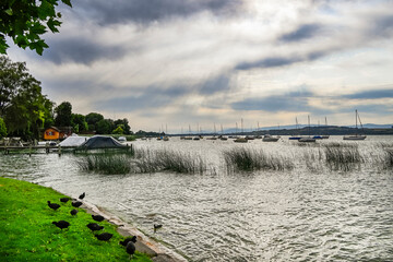 Murten Morat Murtensee See Seeufer