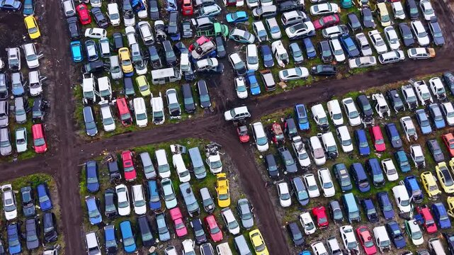 Many cars are parked in a junkyard. The vehicles are of different colors and makes. The area is spacious with dirt paths separating the rows of cars.