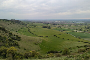 Obraz premium Scenic landscape view of green farmland fields seen from the Salisbury Plain in Wiltshire England