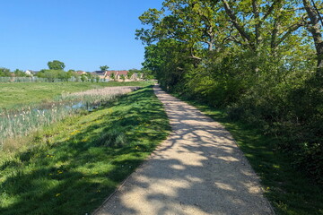 Obraz premium Scenic view of a path through a beautiful green park with leafy trees, grass lawn and blue sky above