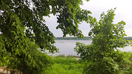 A scenic view of a spring park with still water. Calmness and connection with nature.
