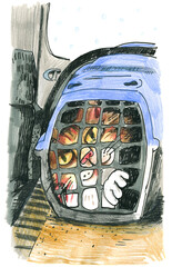 Cat in Carrier Illustration