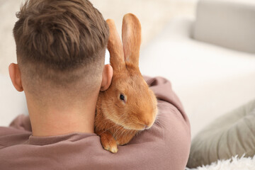 Naklejka premium Man with cute bunny at home, back view. Space for text