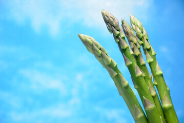 新鮮なグリーンアスパラガス