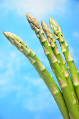 新鮮なグリーンアスパラガス