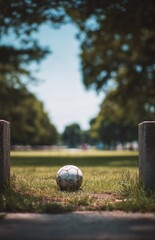 Soccer ball between posts on grassy field