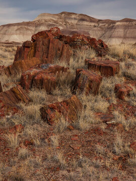 An extremely eroded red petrified wood log dominates the foreground with an arid layered sedimentary plateau in the background in this desert landscape from Petrified Forest National Park in Arizona.