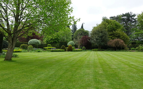Scenic view of a beautiful landscape garden with a freshly mowed grass lawn and green leafy trees