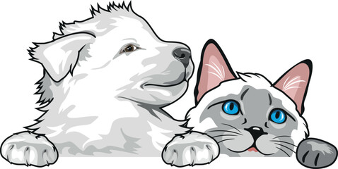 Peeking Swiss Shepherd puppy dog and Siamese cat. Vector.eps