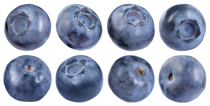 Fresh blueberries isolated on white, set. Tasty berry
