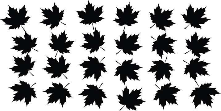 Maple leaf silhouette grid, 25 black vector leaves arranged in rows and columns, rotated orientations, decorative foliage pattern - flat vector illustration