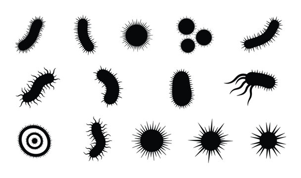 Microscopic set of virus germ pathogen or parasite organism concept in black silhouette graphic
