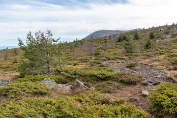 Naklejka premium Landscape of Vitosha Mountain near Kamen Del peak, Bulgaria